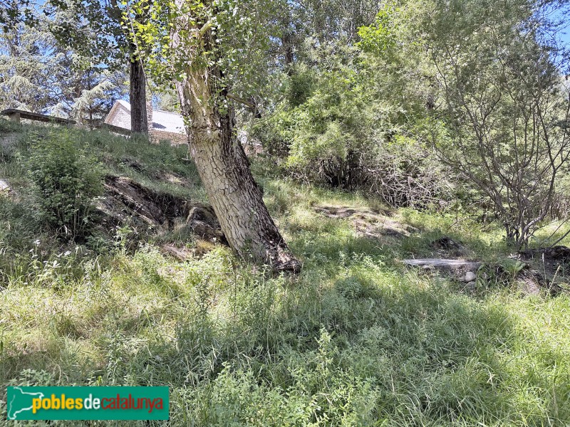 Vilaller - Necròpolis de Riupedrós (Foto: Albert Esteves, 2023) Vilaller - Necròpolis de Riupedrós