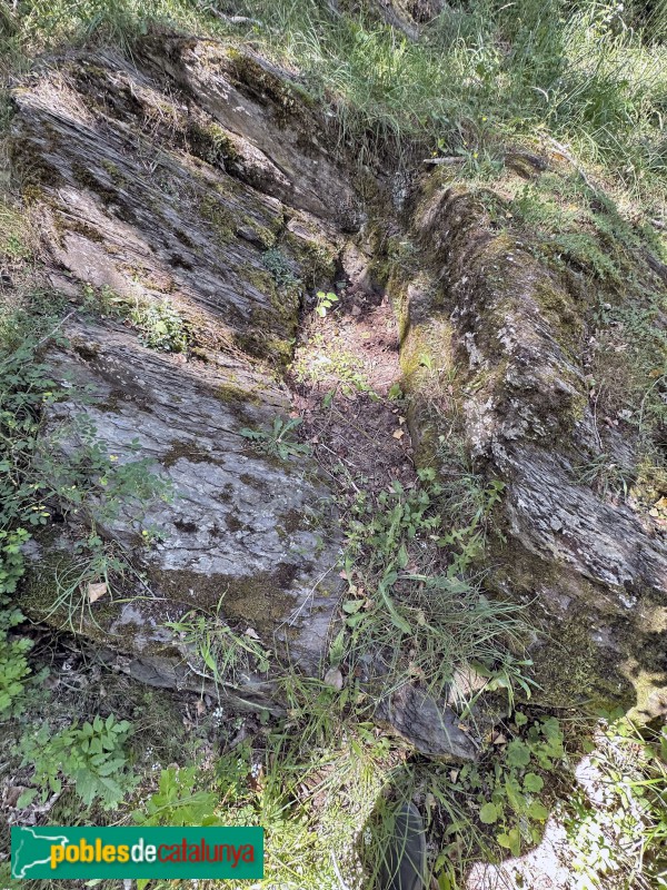 Vilaller - Necròpolis de Riupedrós (Foto: Albert Esteves, 2023) Vilaller - Necròpolis de Riupedrós