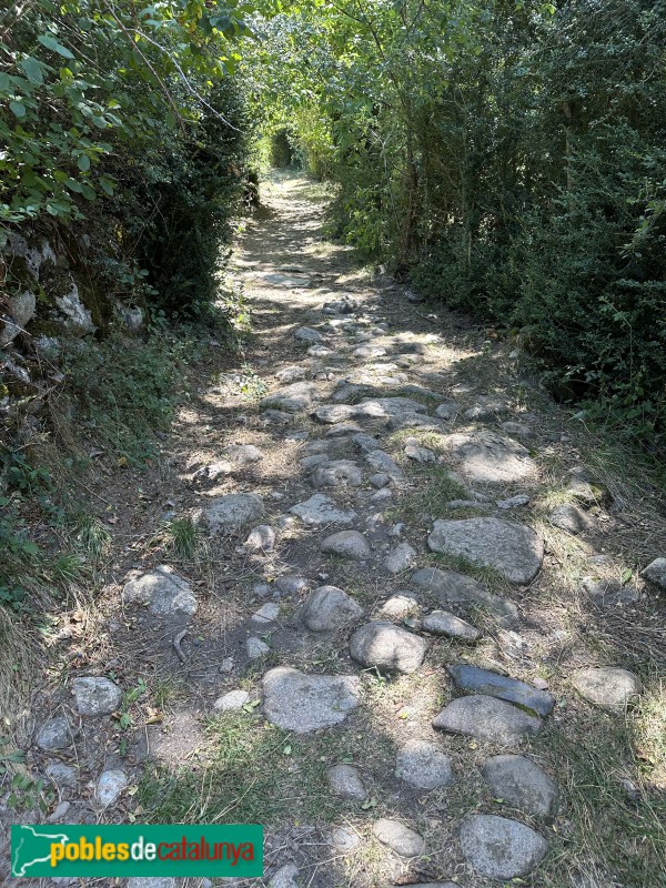 Vilaller - Camí de Sant Mamés (Foto: Albert Esteves, 2023) Vilaller - Camí de Sant Mamés