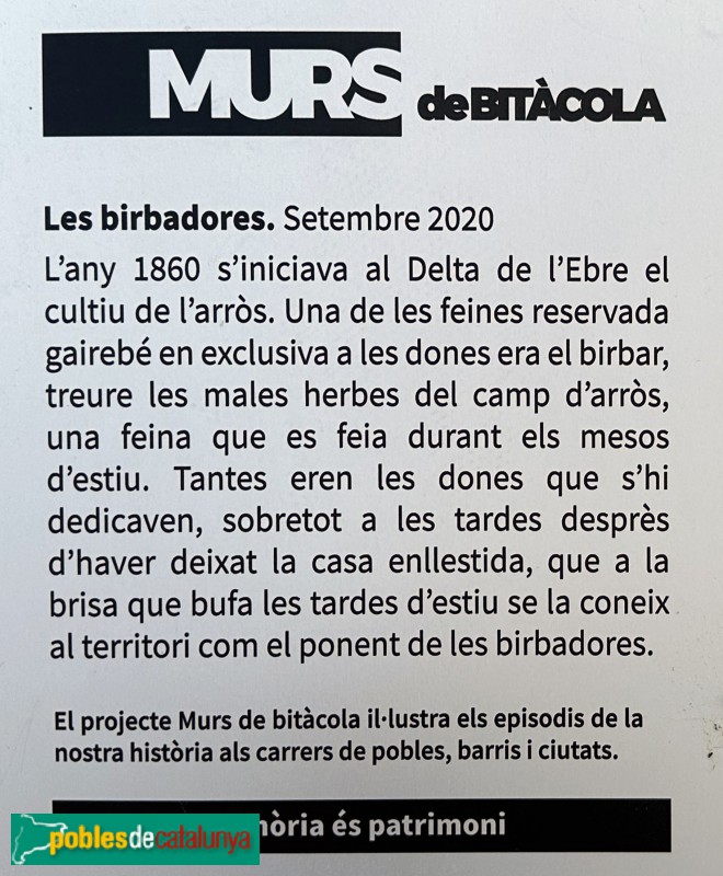 La Ràpita - Mural <i>Les Birbadores</i> (Foto: Albert Esteves, 2023) La Ràpita - Mural <i>Les Birbadores</i>