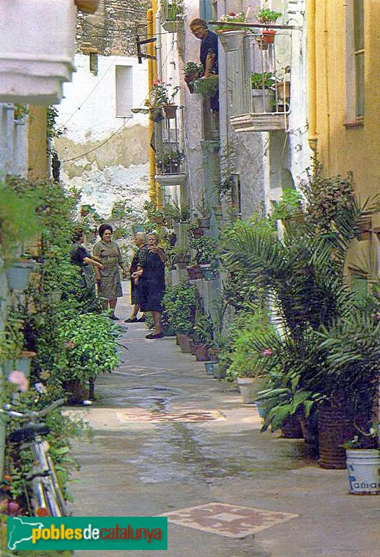 Amposta - Carrer del Fossat. Postal antiga Amposta - Carrer del Fossat. Postal antiga