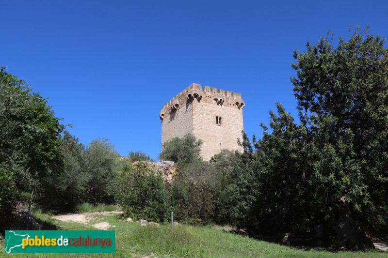 Amposta - Torre de la Carrova
