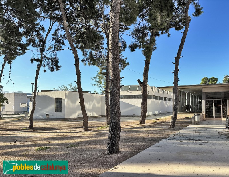 Amposta - Institut Ramon Berenguer IV (Foto: Albert Esteves, 2023) Amposta - Institut Ramon Berenguer IV