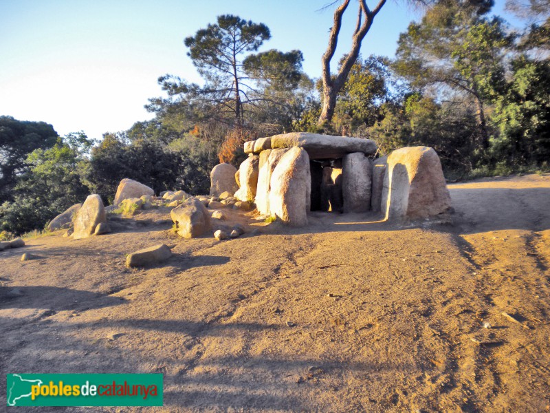 Dosrius - Dolmen de Ca l'Arenes