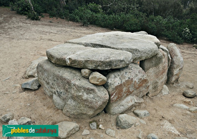 Dosrius - Dolmen de Ca l'Arenes