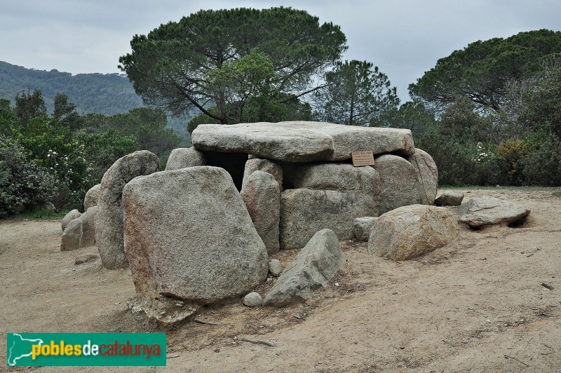 Dosrius - Dolmen de Ca l'Arenes