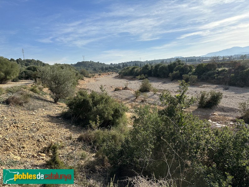 El barranc de la Galera al terme de Masdenverge (Foto: Albert Esteves, 2023) El barranc de la Galera al terme de Masdenverge