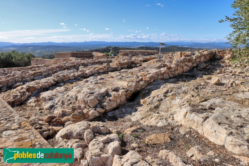 Alcanar - Moleta del Remei (Foto: Albert Esteves, 2023) Alcanar - Moleta del Remei