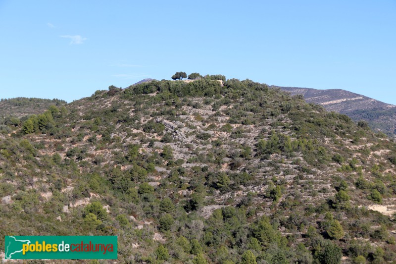 Alcanar - Moleta del Remei (Foto: Albert Esteves, 2023) Alcanar - Moleta del Remei