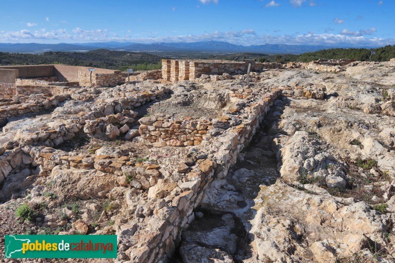 Alcanar - Moleta del Remei (Foto: Albert Esteves, 2023) Alcanar - Moleta del Remei