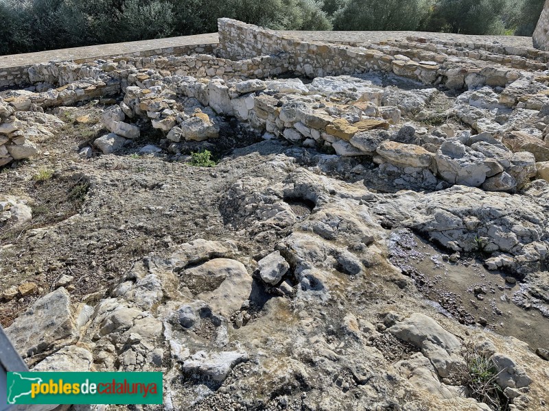 Alcanar - Moleta del Remei (Foto: Albert Esteves, 2023) Alcanar - Moleta del Remei