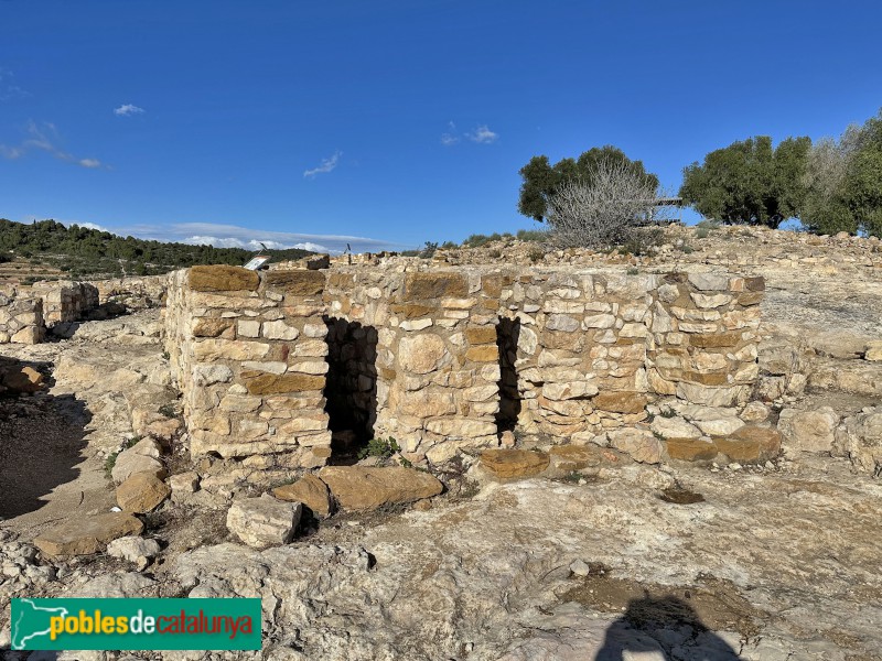 Alcanar - Moleta del Remei (Foto: Albert Esteves, 2023) Alcanar - Moleta del Remei