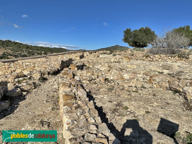 Alcanar - Moleta del Remei (Foto: Albert Esteves, 2023) Alcanar - Moleta del Remei