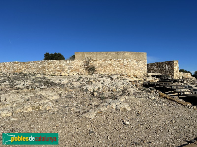 Alcanar - Moleta del Remei (Foto: Albert Esteves, 2023) Alcanar - Moleta del Remei