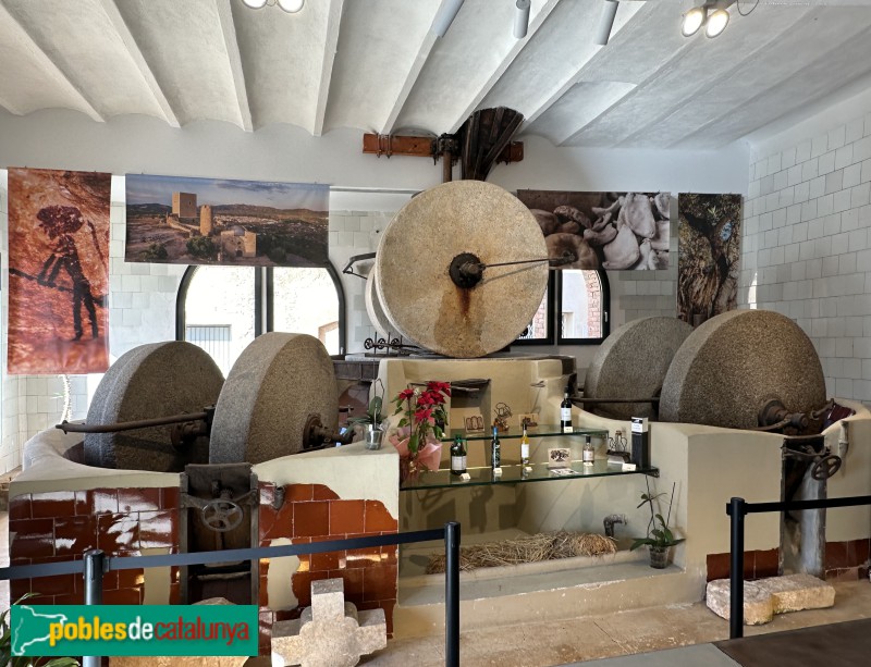 Ulldecona - Molí d'Oli (Foto: Albert Esteves, 2024) Ulldecona - Molí d'Oli