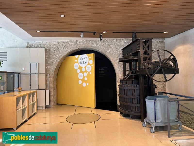 Sant Sadurní d'Anoia - Fassina de Can Guineu (Foto: Albert Esteves, 2024) Sant Sadurní d'Anoia - Fassina de Can Guineu