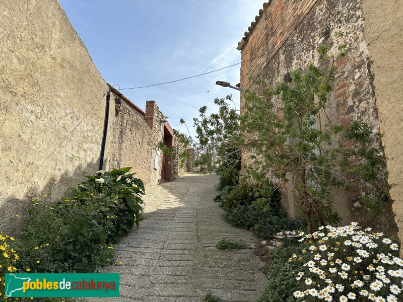 Ullastrell - Pujada dels Cups (Foto: Albert Esteves, 2024) Ullastrell - Pujada dels Cups