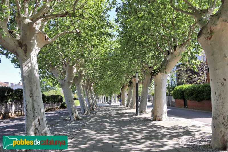 Santa Maria de Palautordera - Passeig del Remei (Foto: Albert Esteves, 2024) Santa Maria de Palautordera - Passeig del Remei