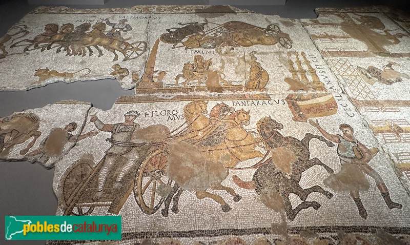 Girona - Museu d'Història de Girona. Mosaic de Can Pau Birol (segle III-IV) (Foto: Albert Esteves, 2024) Girona - Museu d'Història de Girona. Mosaic de Can Pau Birol (segle III-IV)