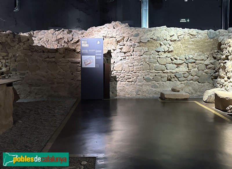 Premià de Mar - Museu Romà