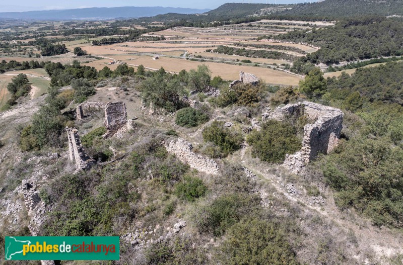 Conesa - Torlanda (Foto: Francesc Vidal-Barraquer, 2024) Conesa - Torlanda