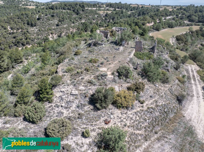 Conesa - Torlanda (Foto: Francesc Vidal-Barraquer, 2024) Conesa - Torlanda