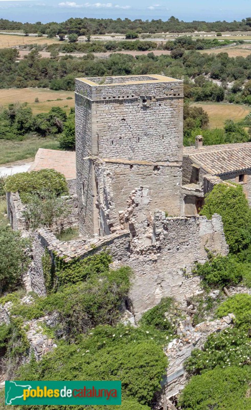 La Sala de Comalats - Castell