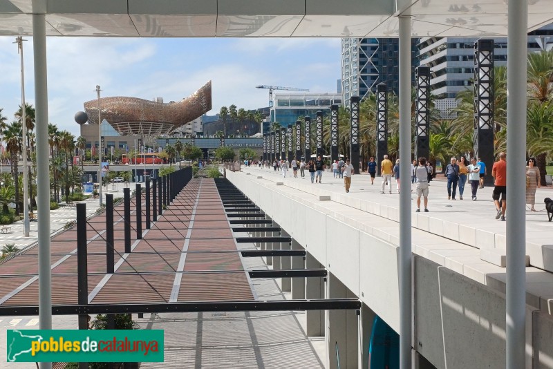 Barcelona - Passeig Marítim (Foto: Sergi Suárez, 2024) Barcelona - Passeig Marítim