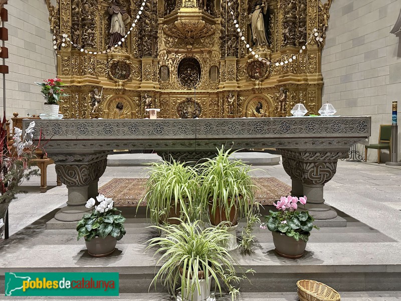 Cassà de la Selva - Restes de l'església romànica de Sant Martí. Altar (Foto: Albert Esteves, 2025) Cassà de la Selva - Restes de l'església romànica de Sant Martí. Altar