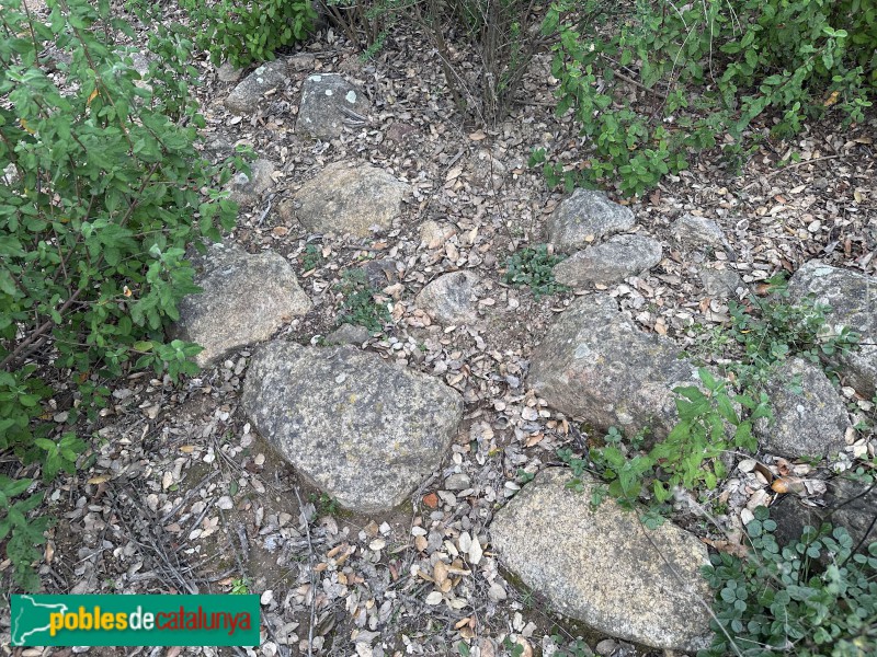 Cassà de la Selva - Poblat ibèric del Puig del Castell (Foto: Albert Esteves, 2025) Cassà de la Selva - Poblat ibèric del Puig del Castell