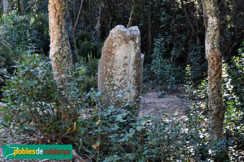 Llagostera - Menhir d'en Llach