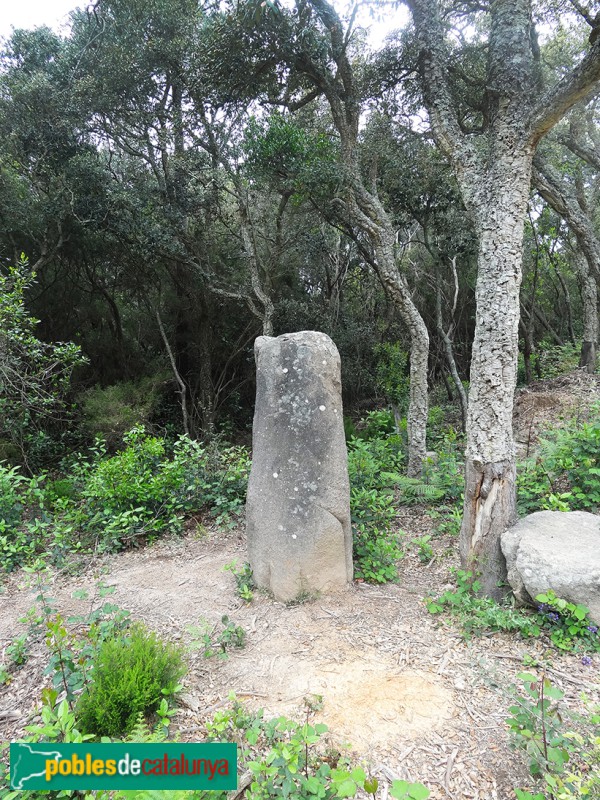 Llagostera - Menhir d'en Llach