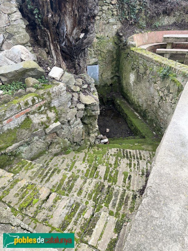 Riudecols - Les Irles. Font de l'Om (Foto: Albert Esteves, 2025) Riudecols - Les Irles. Font de l'Om