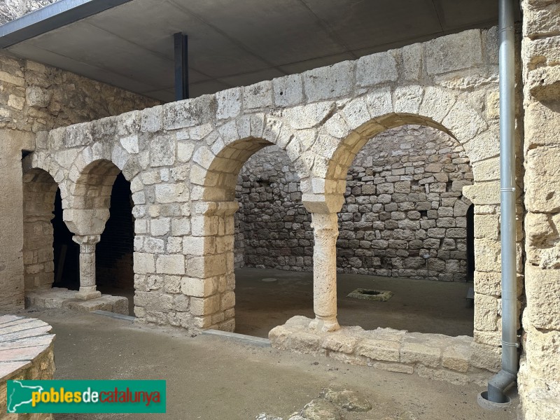 Avinyonet del Penedès - Sant Sebastià dels Gorgs. Claustre