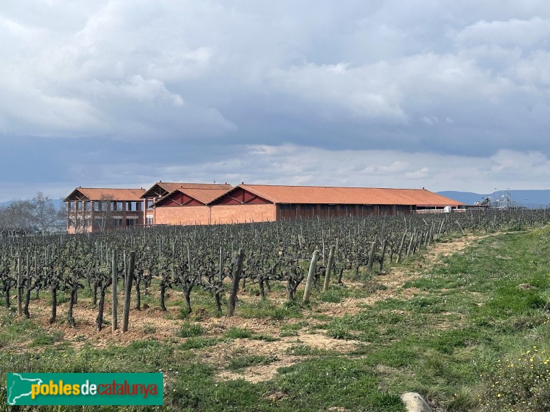 Sant Cugat Sesgarrigues - Caves René Barbier