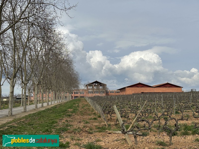 Sant Cugat Sesgarrigues - Caves René Barbier