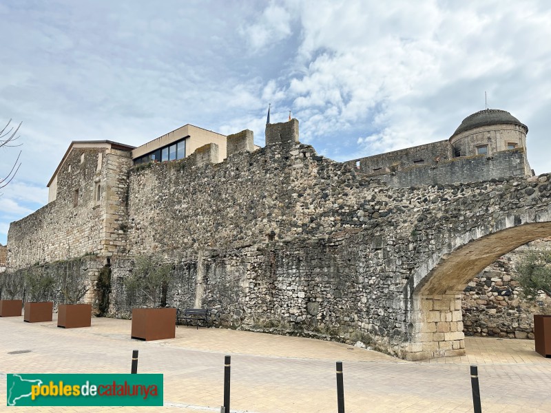 La Selva del Camp - Castell