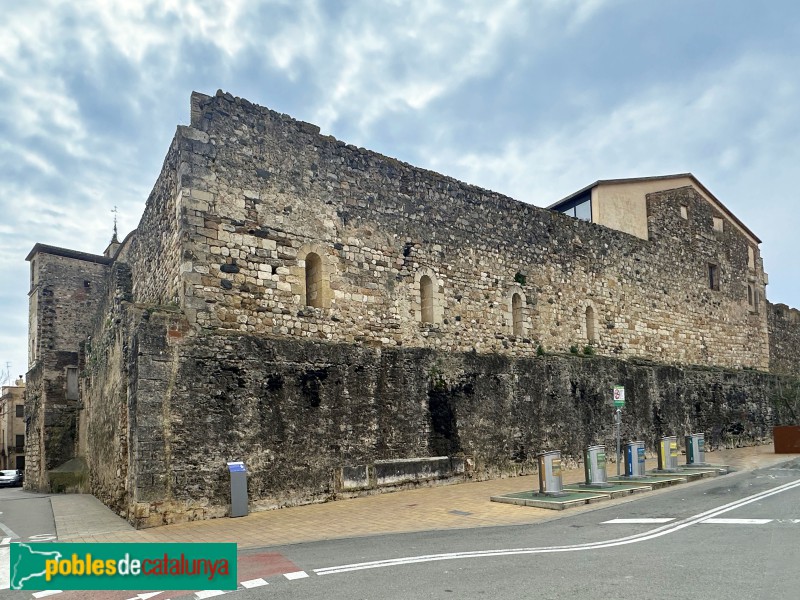 La Selva del Camp - Muralla del castell (Foto: Albert Esteves, 2025) La Selva del Camp - Muralla del castell