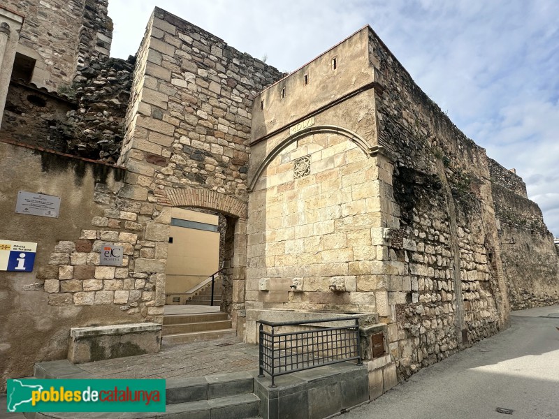 La Selva del Camp - Font del Castell (Foto: Albert Esteves, 2025) La Selva del Camp - Font del Castell