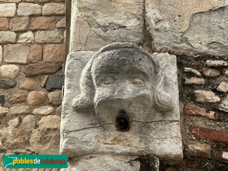 La Selva del Camp - Font del Castell (Foto: Albert Esteves, 2025) La Selva del Camp - Font del Castell