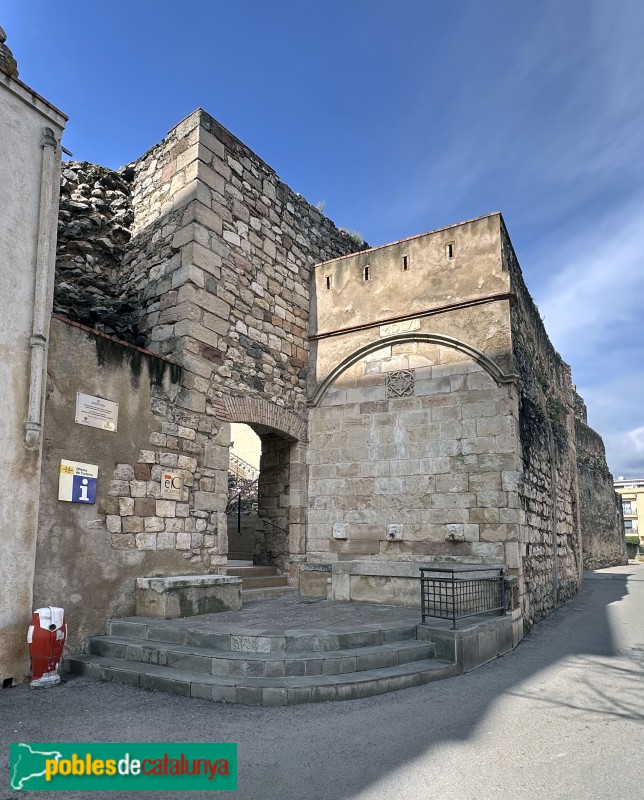 La Selva del Camp - Font del Castell (Foto: Albert Esteves, 2025) La Selva del Camp - Font del Castell