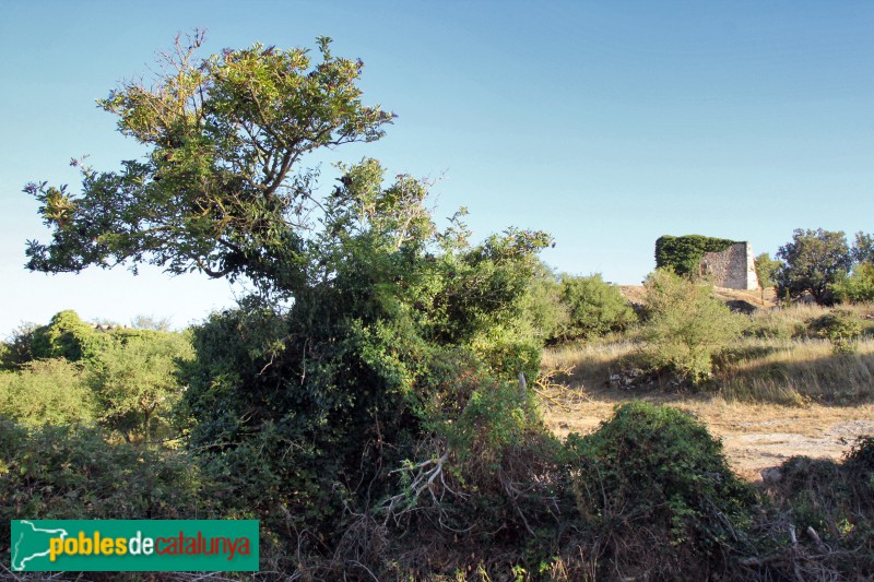 Vilaplana - La Mussara. Ruïnes del poble (Foto: Albert Esteves, 2017) Vilaplana - La Mussara. Ruïnes del poble