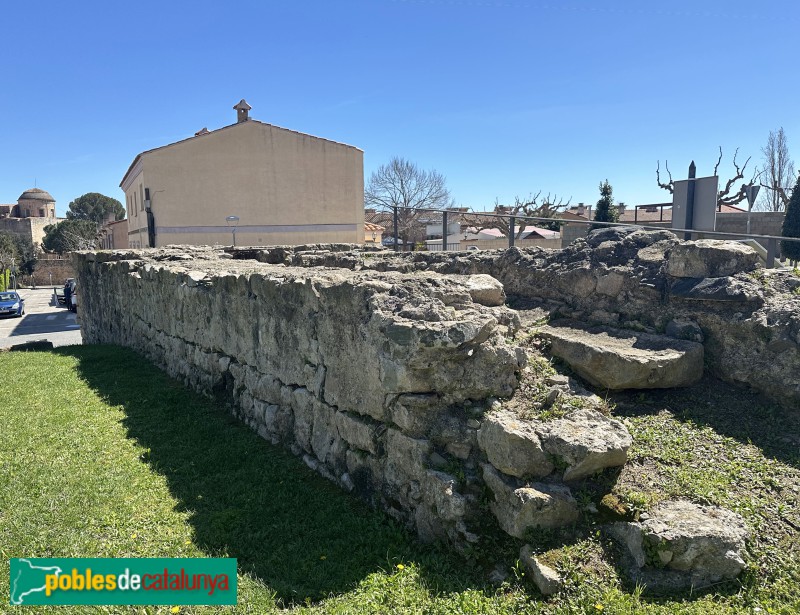 La Selva del Camp - Molí del Rovellat (Foto: Albert Esteves, 2025) La Selva del Camp - Molí del Rovellat