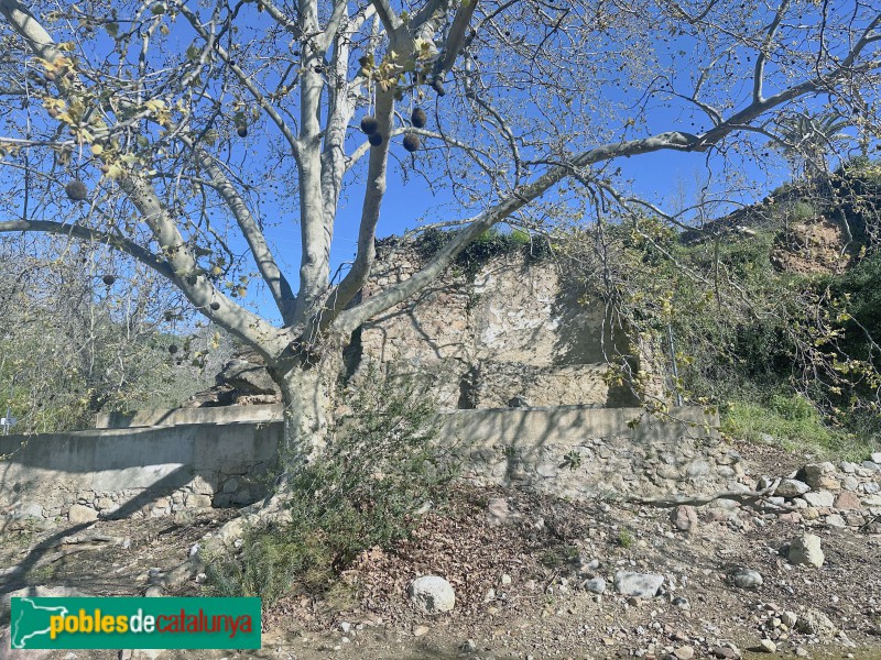 Vilaplana - Molí del Savall (Foto: Albert Esteves, 2025) Vilaplana - Molí del Savall