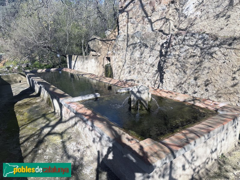 Vilaplana - Rentadors (Foto: Albert Esteves, 2025) Vilaplana - Rentadors