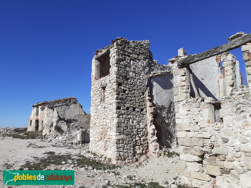 L'Arbolí - Gallicant