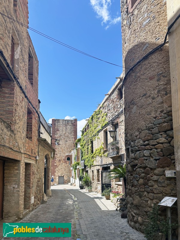 Vilanova d'Escornalbou - L'Arbocet. Carrer de Baix (Foto: Albert Esteves, 2025) Vilanova d'Escornalbou - L'Arbocet. Carrer de Baix