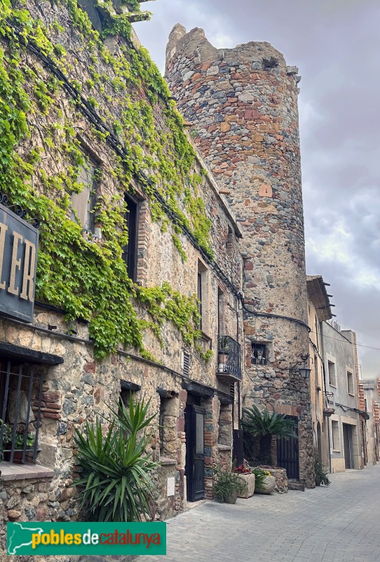 Vilanova d'Escornalbou - La Torratxa (l'Arbocet)