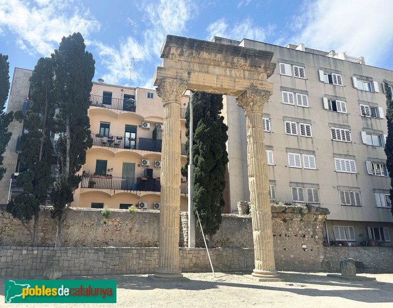 Tarragona - Fòrum de la colònia. Columnes de la basílica (Foto: Albert Esteves, 2025) Tarragona - Fòrum de la colònia. Columnes de la basílica