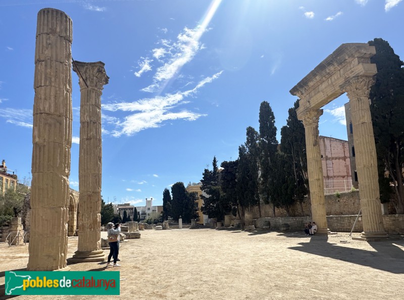 Tarragona - Fòrum de la colònia. Columnes de la basílica (Foto: Albert Esteves, 2025) Tarragona - Fòrum de la colònia. Columnes de la basílica